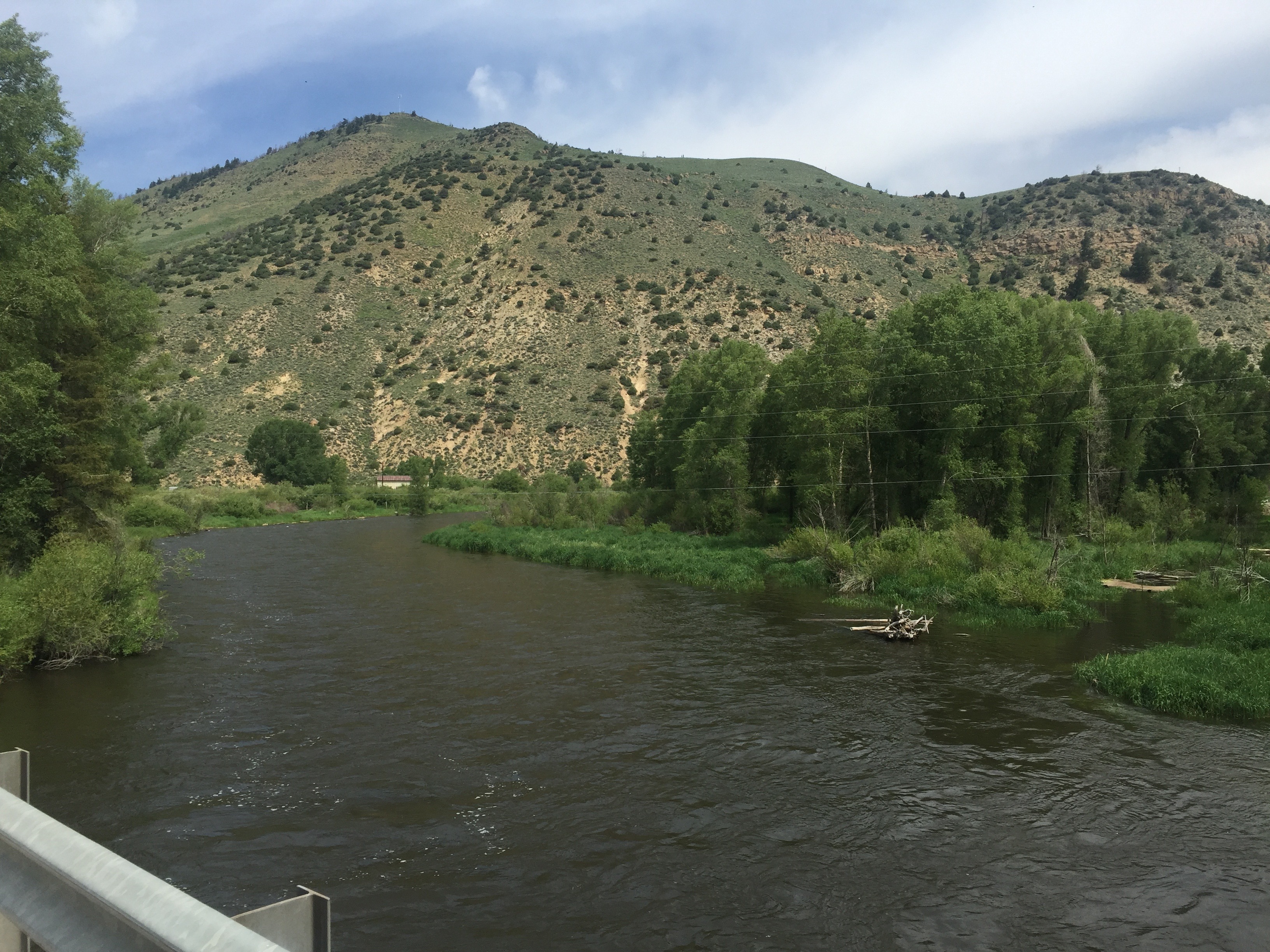Colorado River upper section with arid hills and green cottonwood trees along the banks