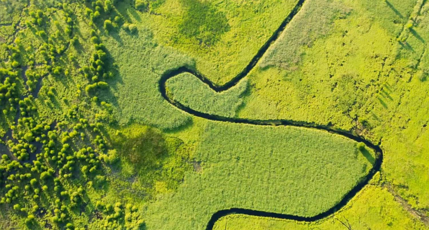 How to Classic Nymph: The Fundamentals Most Anglers Never Learn