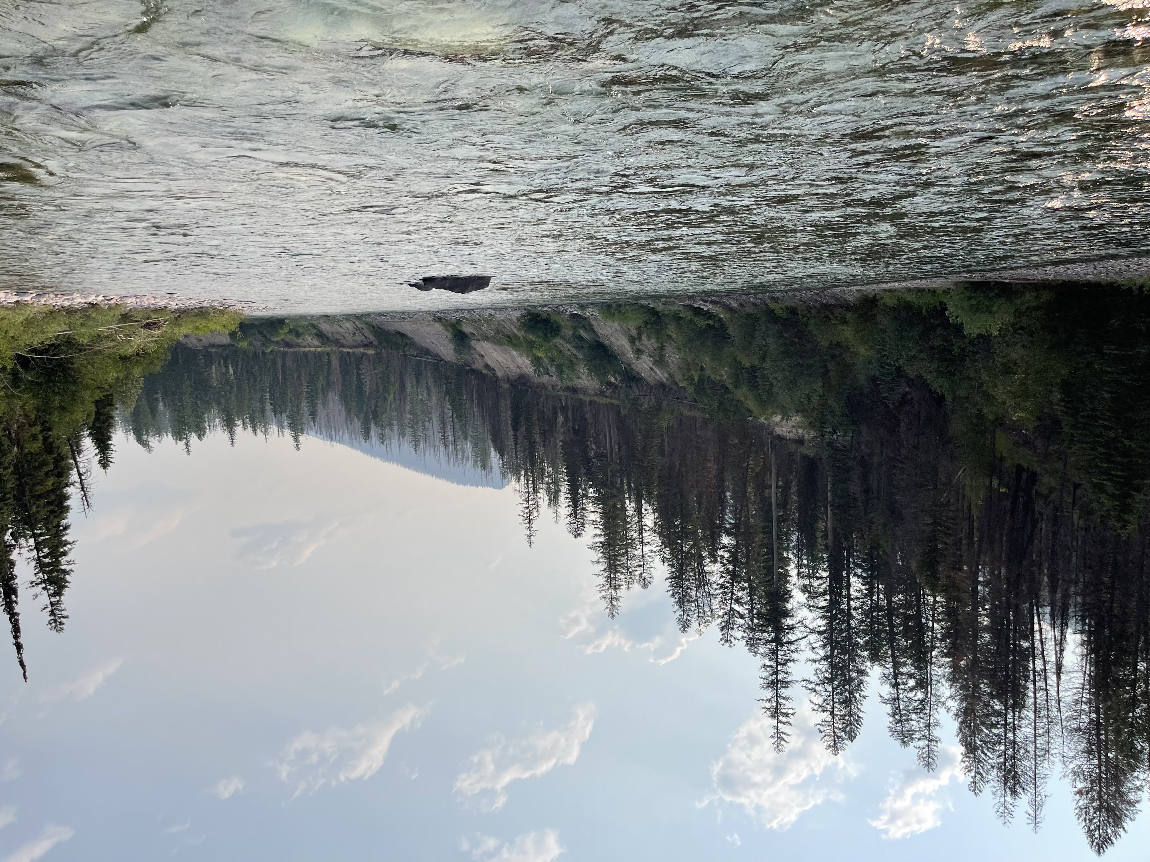 Clear freestone river flowing through a conifer lined wilderness corridor in the Bob Marshall Wilderness, Montana.