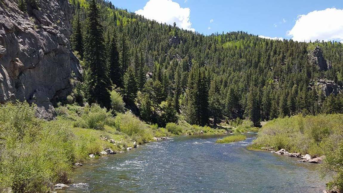 South Platte River flowing through Eleven Mile Canyon with granite walls and forest