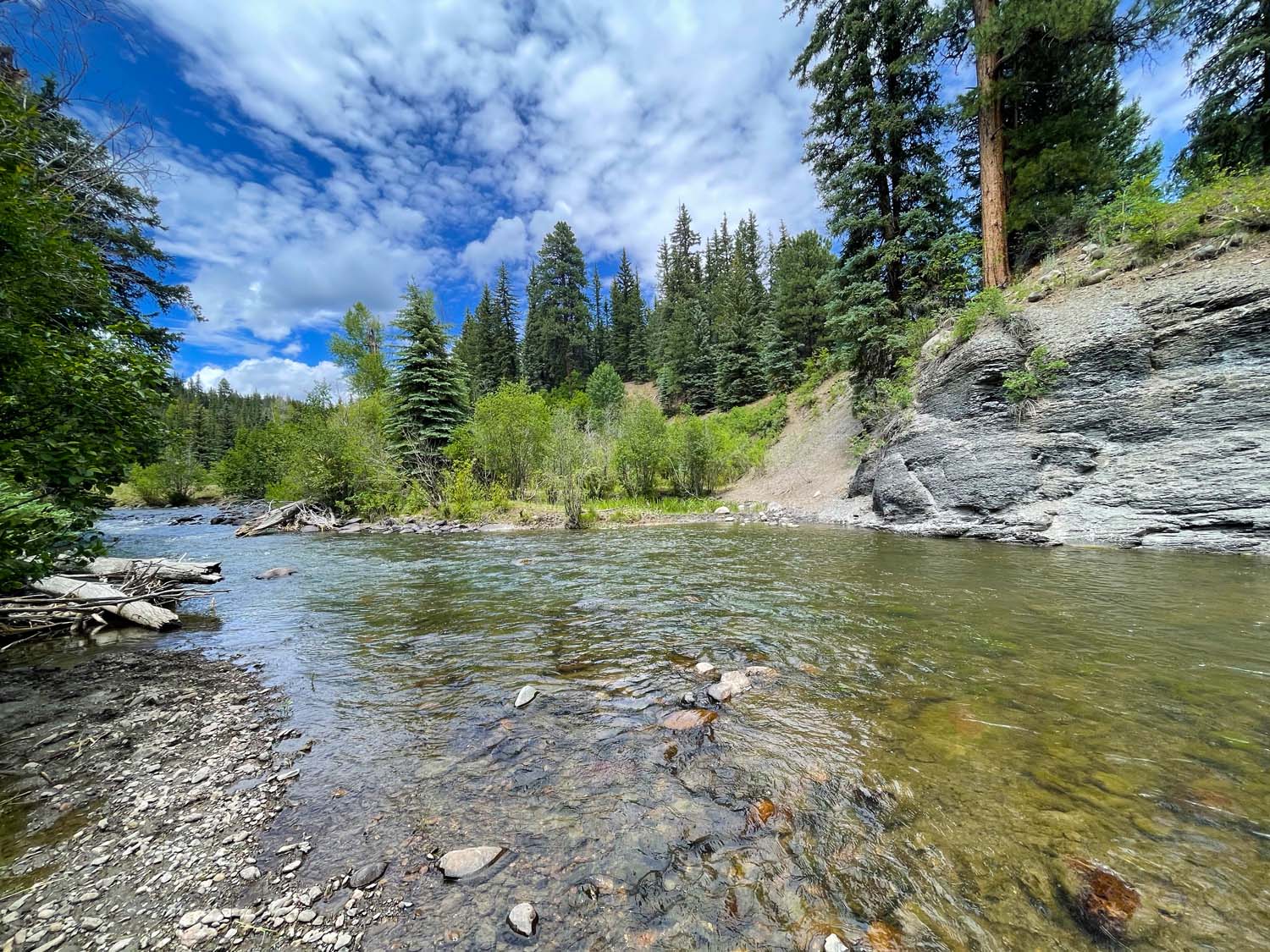 Top 6 Flies for Trout Fishing 