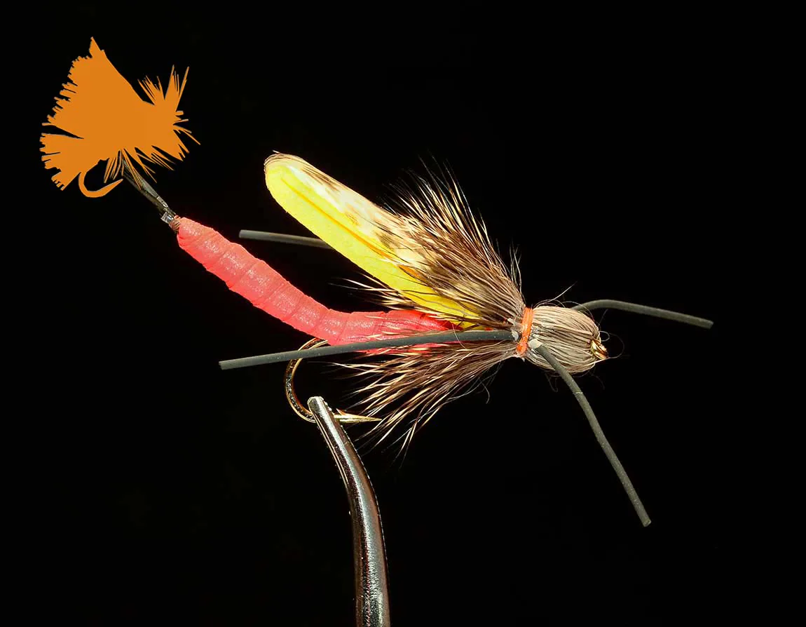 Adult Salmonfly