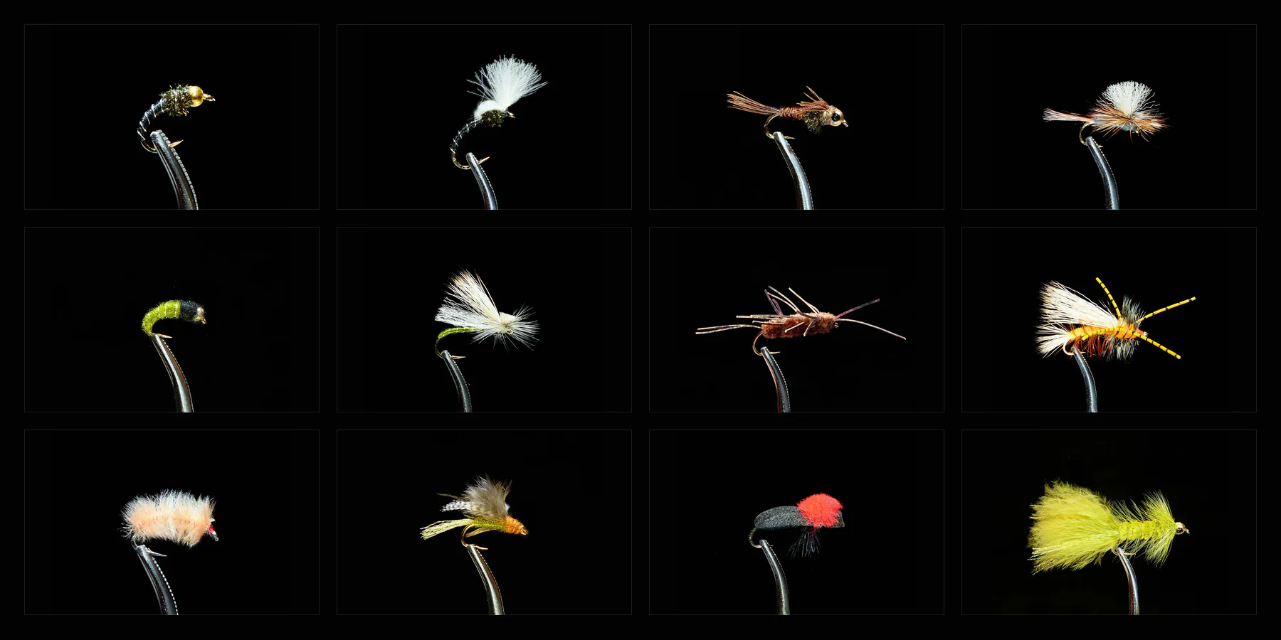Entomology Fishing Fly Assortment