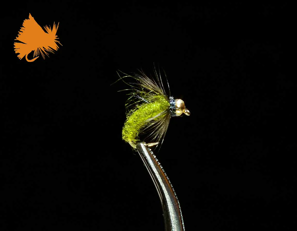 Beadhead Caddis Pupa