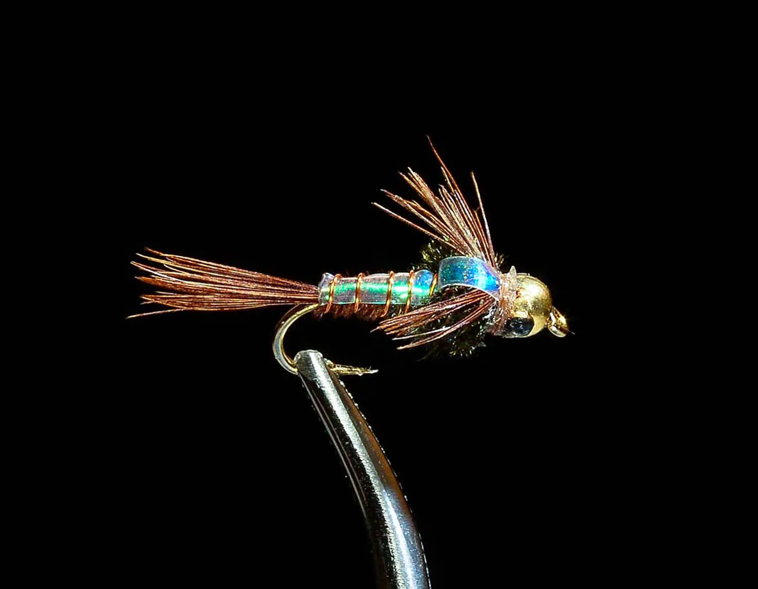Beadhead Pheasant Tail Flashback nymph fly with gold bead and iridescent wing case held in fly tying vise
