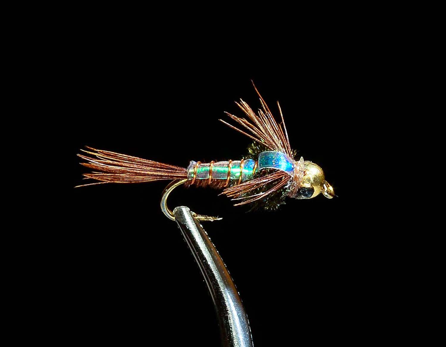Beadhead Pheasant Tail Flashback nymph fly with gold bead and iridescent wing case held in fly tying vise