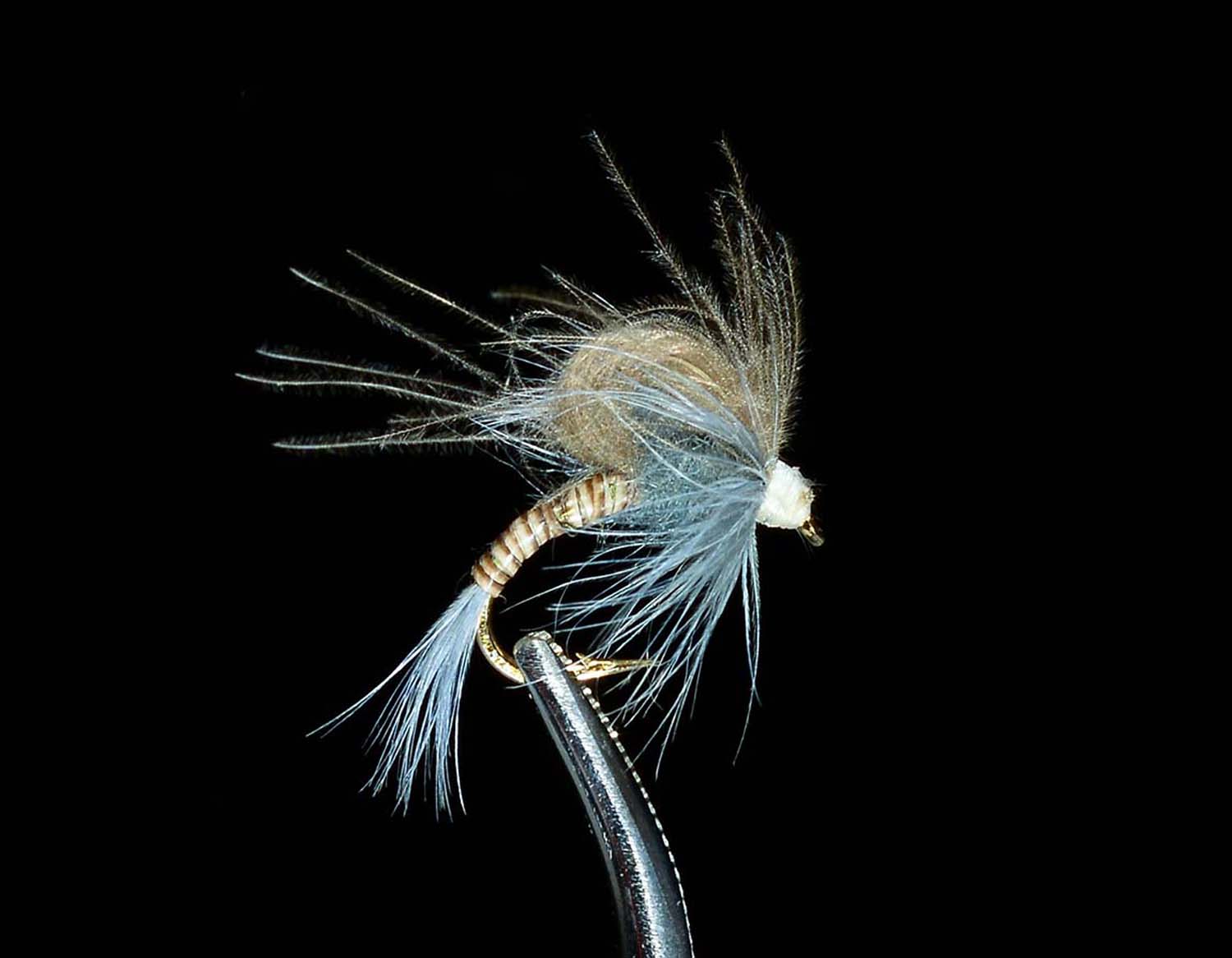 CDC Emerger Adams Loopwing fly pattern in grey with CDC feather wings and segmented body on black background