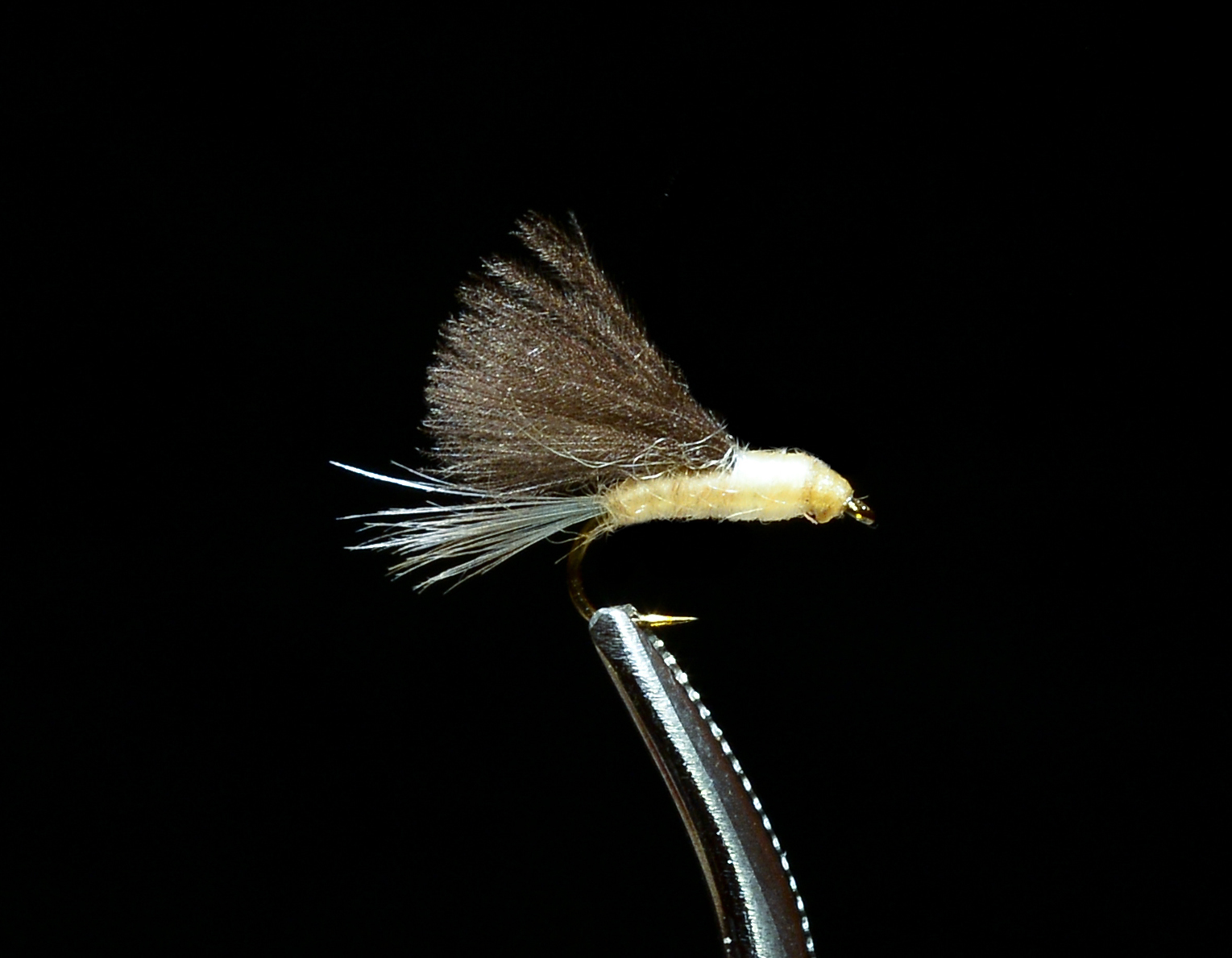 CDC PMD Tailwater Dun dry fly pattern in forceps showing cream body and CDC wing