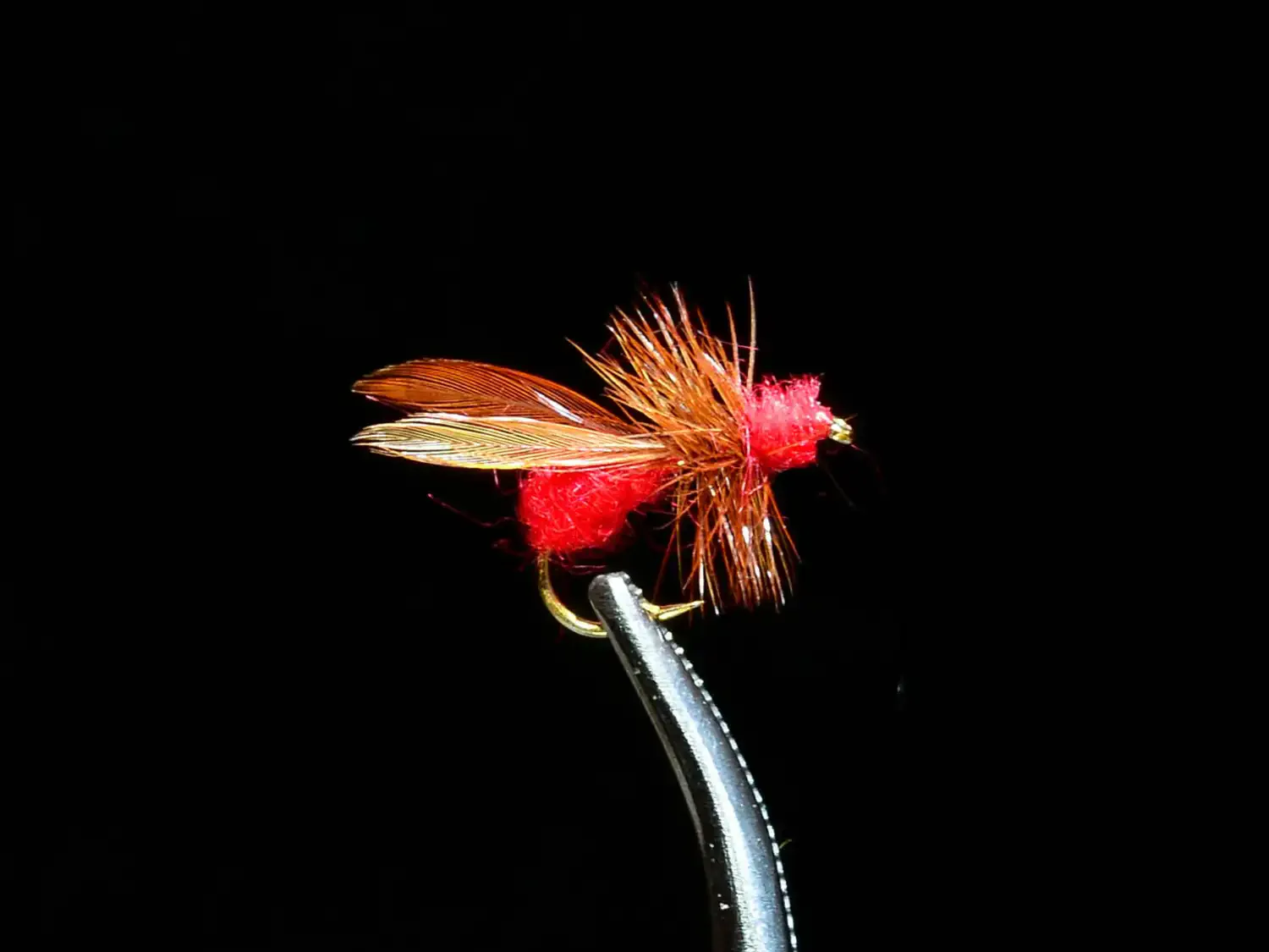Red Flying Ant dry fly pattern with foam body and brown hackle wings on black background