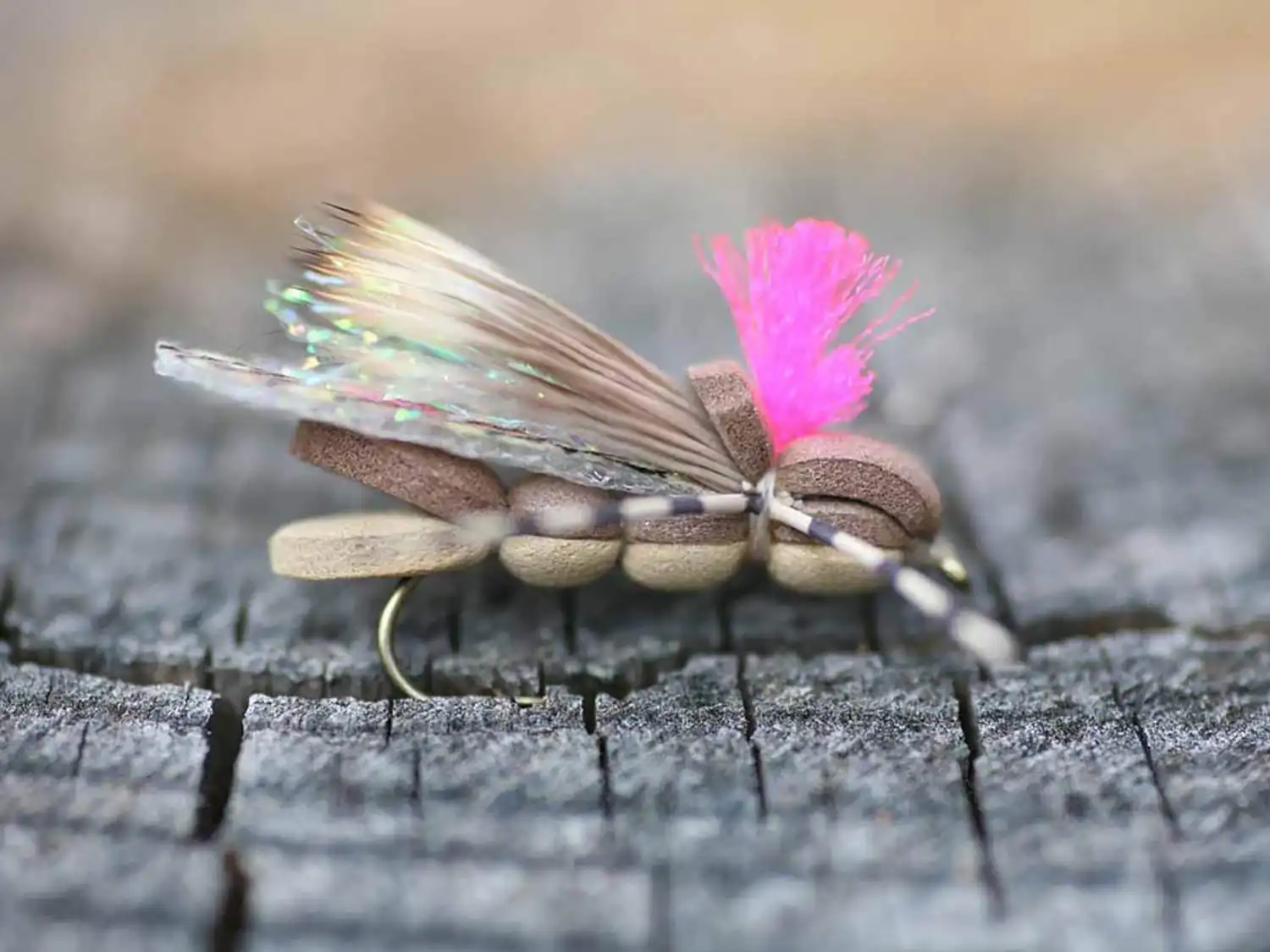 Grasshopper fly pattern with foam body and pink indicator post on weathered wood surface
