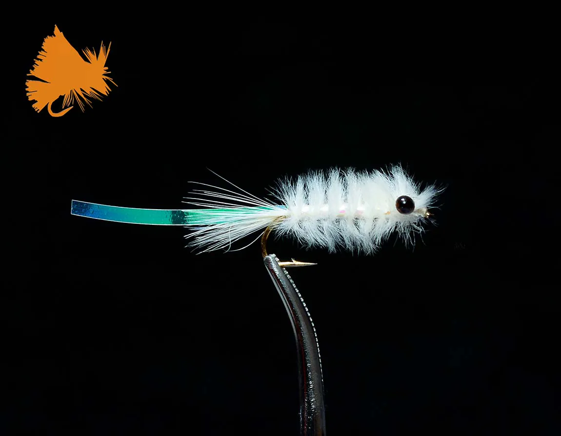 Mysis Shrimp