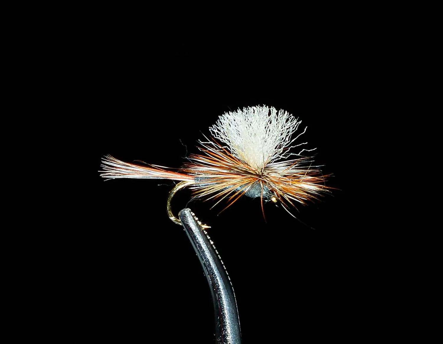 Parachute Adams grey dry fly with white post and mixed hackle on black background