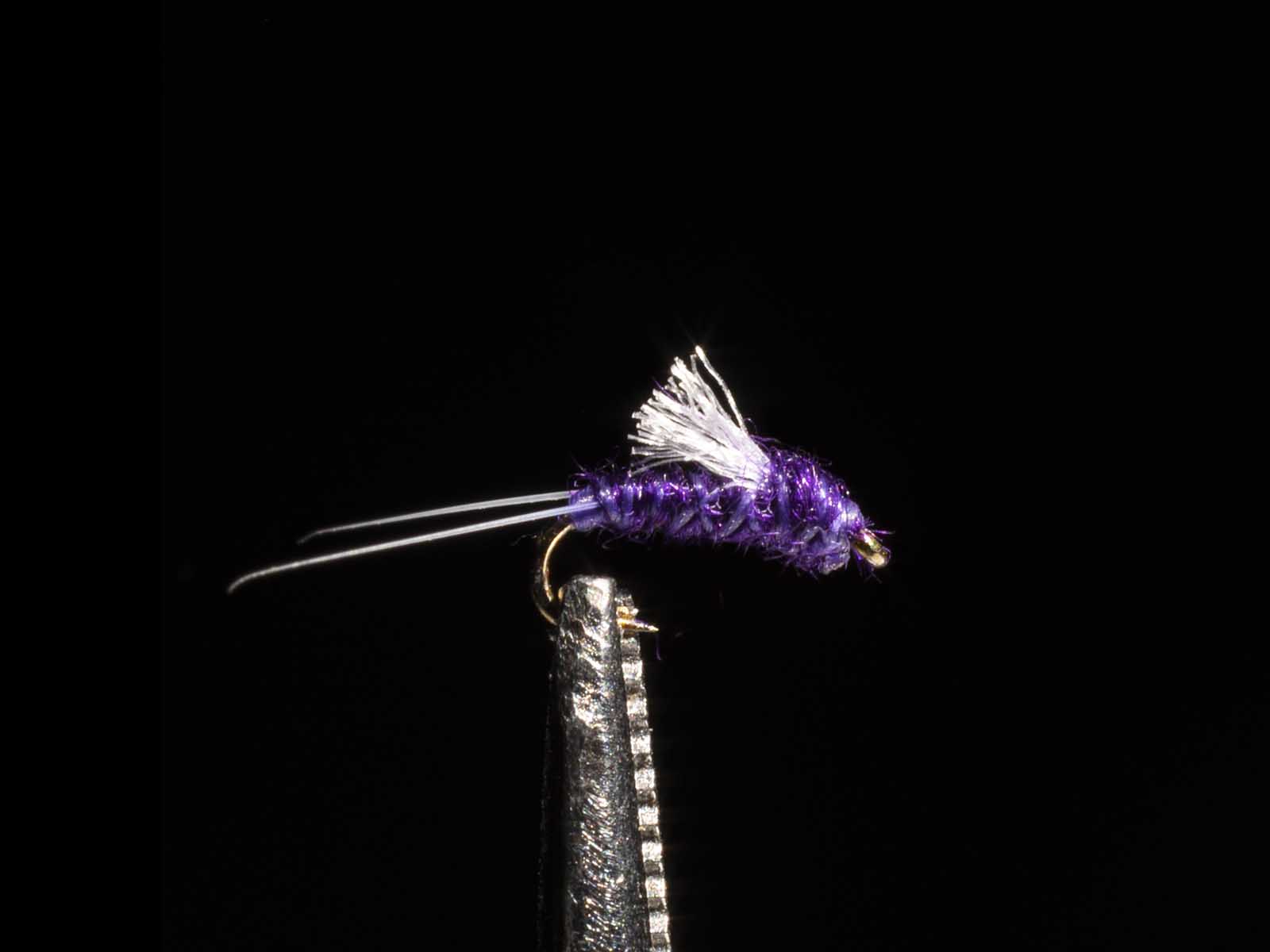 Purple RS2 Emerger fly fishing pattern with white wing post on black background