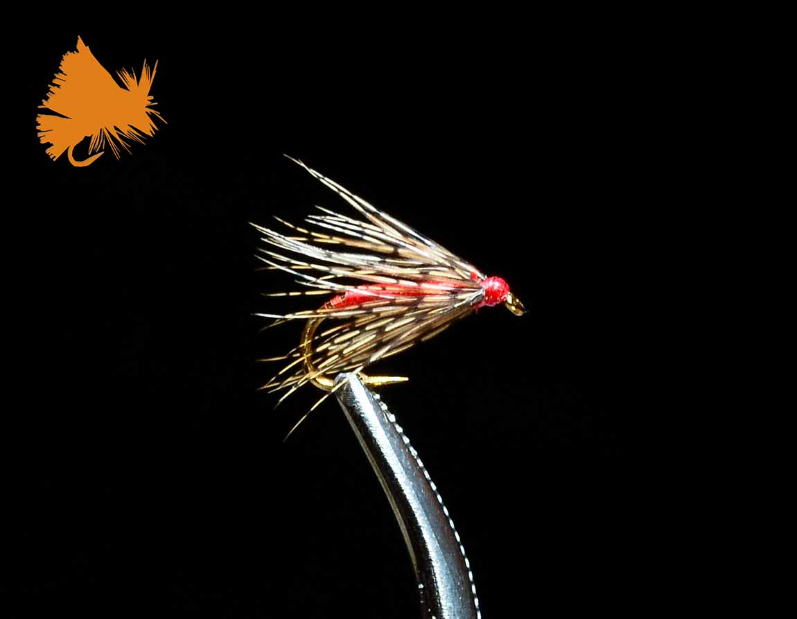 Soft Hackle Attractor Red fly pattern with red body and natural hackle on black background